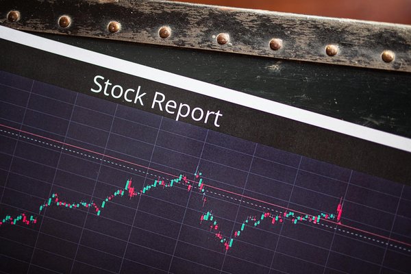 Assurance habitation et animaux de compagnie : votre couverture expliquée